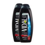 Vidal Bagnodoccia Energizzante Ginseng e Guaran&agrave; 2 x 600 ml