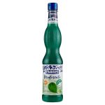 Fabbri Sciroppo alla Menta-Orzo – 560 ml