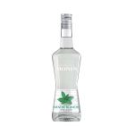 Liquore Menta Bianca Monin 70 cl