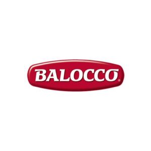 Balocco Biscotti Saracene 700 g