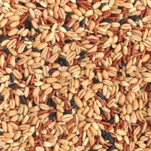 Barilla Cereali e Quinoa 320 g