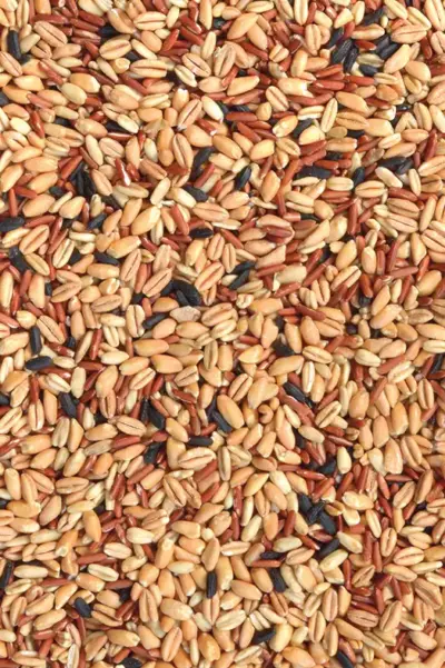 Barilla Cereali e Quinoa 320 g