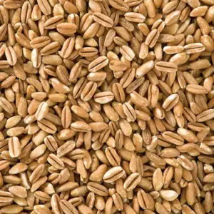 Barilla Farro 400 g