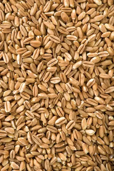 Barilla Farro 400 g