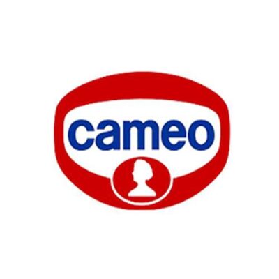 Cameo Budino Crema Cioccolato x 2 180 g