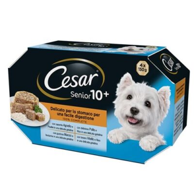 Cesar Pouch Delizie del Giorno 10+ 4 x 100 g
