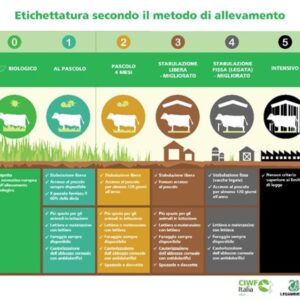 Consorzio Agrario Latina Farina Integrale 1 kg