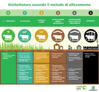 Consorzio Agrario Latina Farina Integrale 1 kg