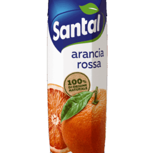 Santal Succo Frutti Rossi 10 Vitamine 1 L