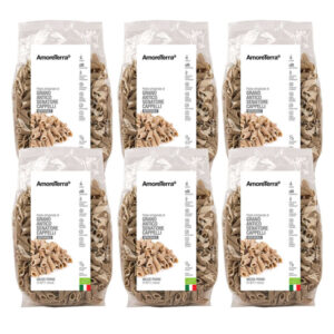 Senatore Cappelli Penne Integrali 500 g