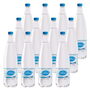 Acqua Tullia Leggermente Frizzante da 1 L x 12 in plastica