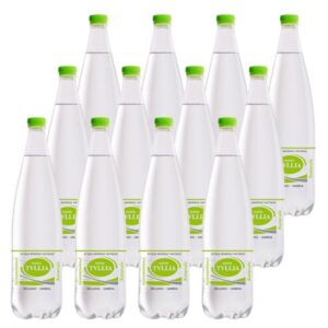 Acqua Tullia Naturale da 1 L x 12 in plastica