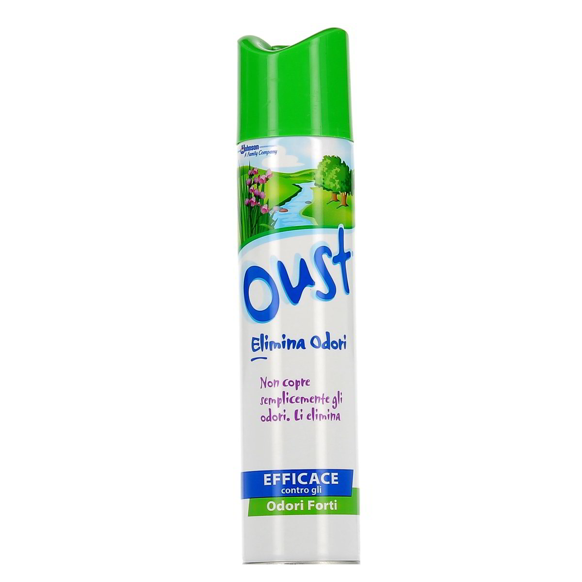 Oust-Elimina-Odori-Spray-300-ml-1 Oust Elimina Odori Spray 300 ml - immagine 1