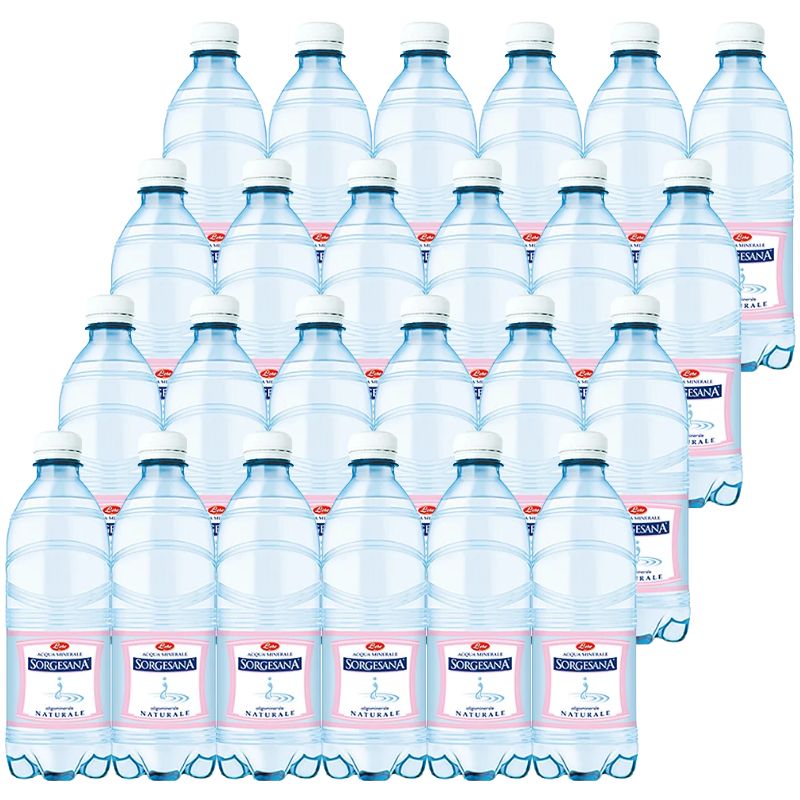 Acqua Sorgesana 0,5 lt x 24 plastica Acqua Sorgesana Naturale 0,5 lt x 24 plastica - immagine 1
